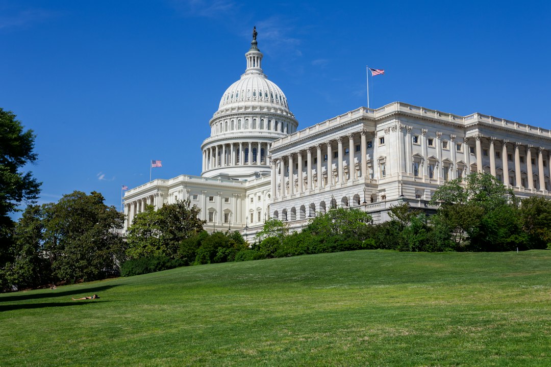 Better Collective Launches Prediction Pro for Midterms