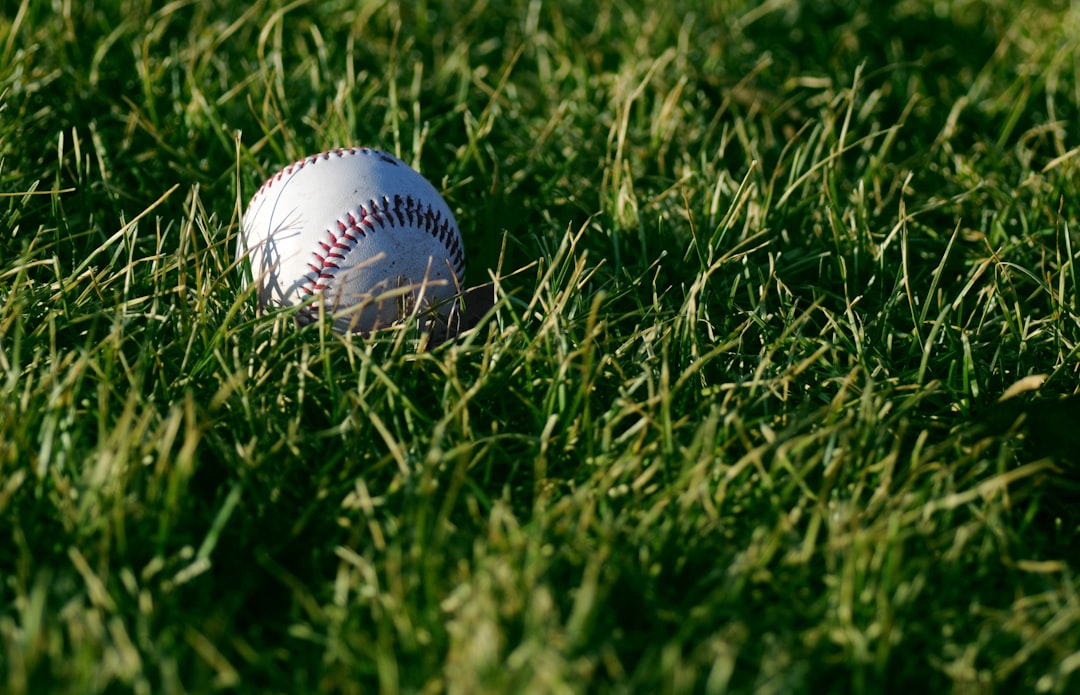 Illinois Budget Hits Fantasy Sports and Prediction Markets