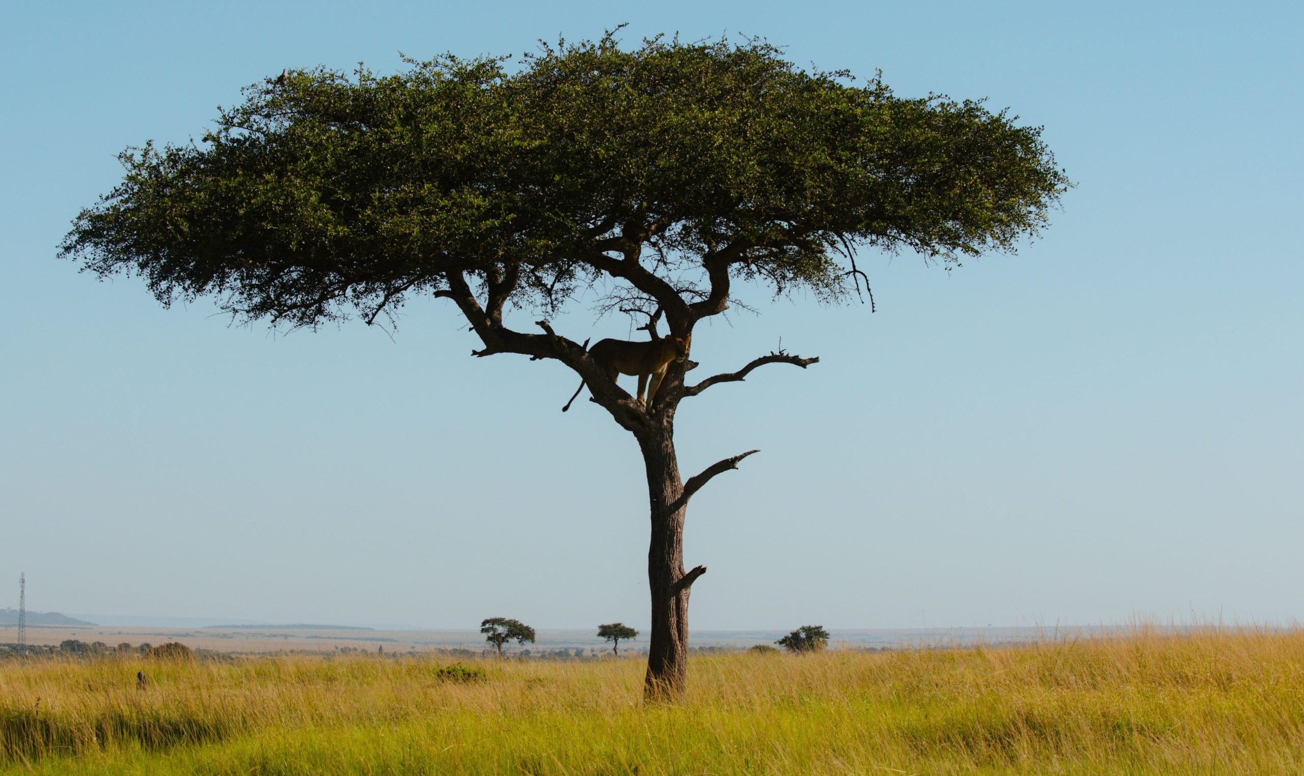 Tanzania Gaming Tax Hits TZS 307.8 Billion in 2026